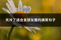 天冷了适合发朋友圈的搞笑句子(汇总71句)