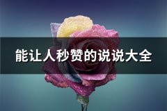 能让人秒赞的说说大全(73句)