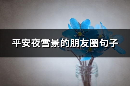 平安夜雪景的朋友圈句子(精选81句)