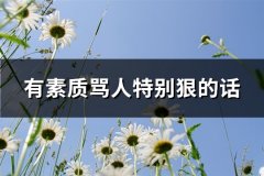 有素质骂人特别狠的话(汇总137句)