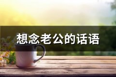 想念老公的话语(优选64句)