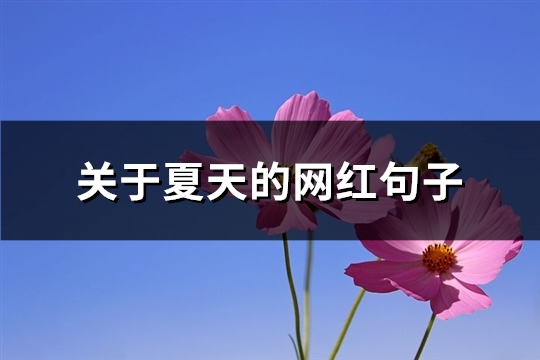 关于夏天的网红句子(共62句)