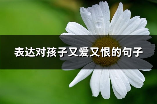 表达对孩子又爱又恨的句子(共60句)