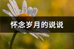 怀念岁月的说说(通用69句)