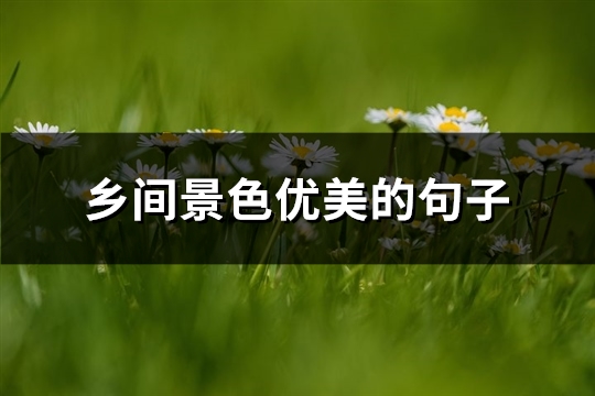 乡间景色优美的句子(热门53句)