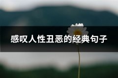 感叹人性丑恶的经典句子(91句)