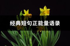 经典短句正能量语录(132句)