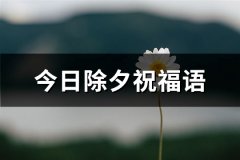 今日除夕祝福语(必备323句)