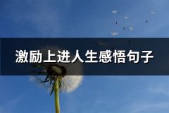 激励上进人生感悟句子(优选71句)