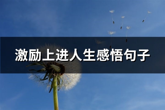 激励上进人生感悟句子(优选71句)