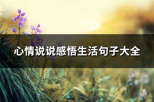 心情说说感悟生活句子大全(74句)