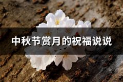 中秋节赏月的祝福说说(共76句)