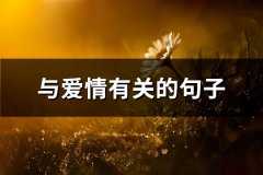 与爱情有关的句子(热门89句)