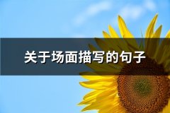 关于场面描写的句子(通用61句)