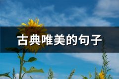古典唯美的句子(共208句)