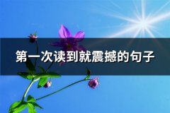 第一次读到就震撼的句子(汇总94句)