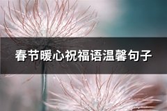 春节暖心祝福语温馨句子(通用73句)