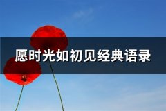 愿时光如初见经典语录(推荐60句)