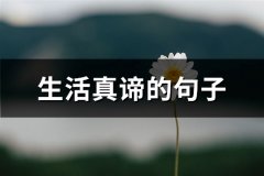 生活真谛的句子(通用42句)