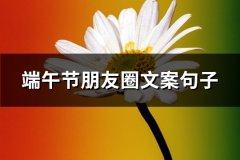 端午节朋友圈文案句子(汇总109句)