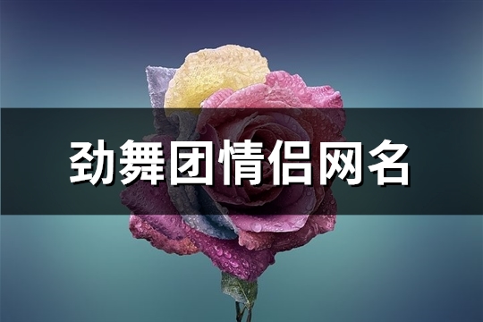 劲舞团情侣网名(精选197个) 劲舞团情侣网名带符号