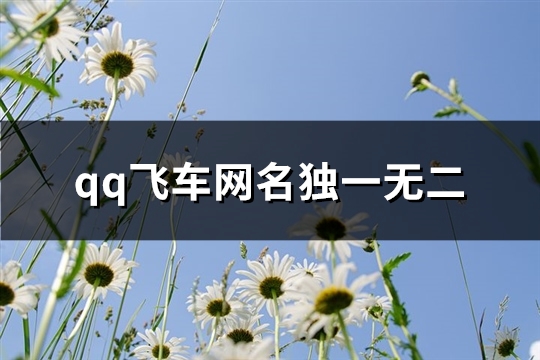 qq飞车网名独一无二(优选80个)(qq飞车网名超拽霸气)