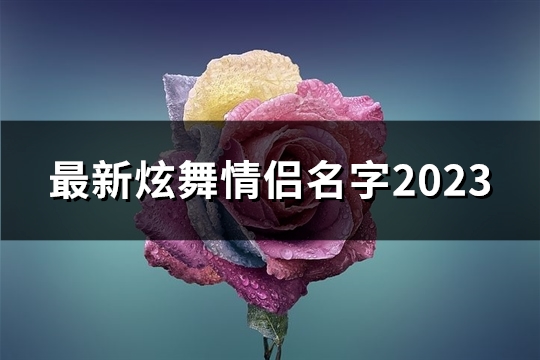 最新炫舞情侣名字2023(精选221个)(最新炫舞情侣名字)