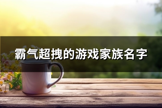 霸气超拽的游戏家族名字(共471个) 霸气超拽的游戏名两个字男