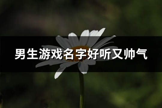 男生游戏名字好听又帅气(524个)(男生游戏名字好听)
