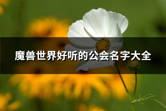 魔兽世界好听的公会名字大全(优选324个)(魔兽世界好听的治疗名字)