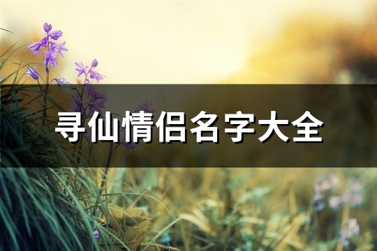 寻仙情侣名字大全(优选124个)(寻仙游戏情侣名)