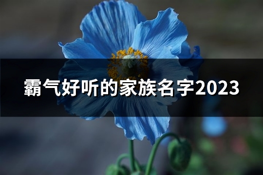 霸气好听的家族名字2023(30个) 霸气好听的家族马甲格式