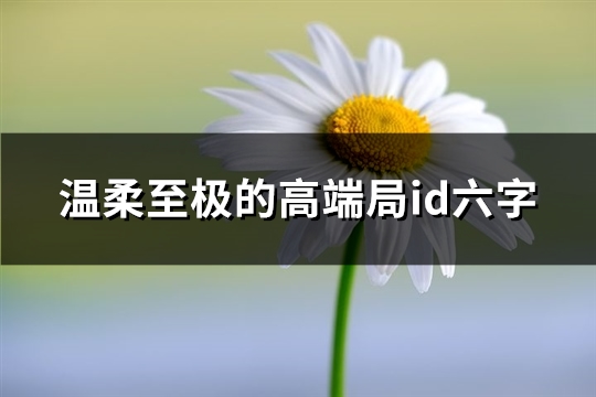 温柔至极的高端局id六字(优选104个)(温柔至极的高端局ID女)