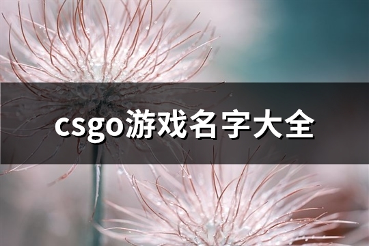 csgo游戏名字大全(优选234个)(csgo游戏名字好听)