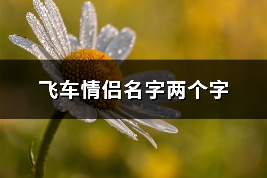 飞车情侣名字两个字(75个)(飞车情侣名字恩爱的两个字时尚)
