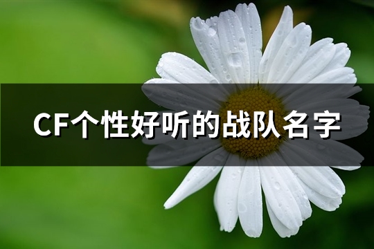 CF个性好听的战队名字(共131个)(cf好听一点的名字)