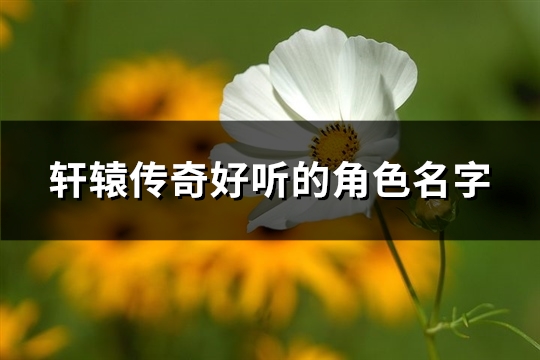 轩辕传奇好听的角色名字(精选272个)(轩辕传奇名字大全)
