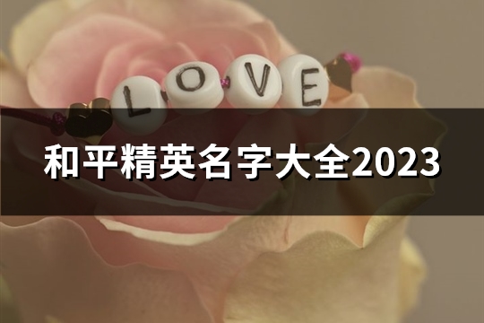 和平精英名字大全2023(680个)(和平精英名字大全伤感)