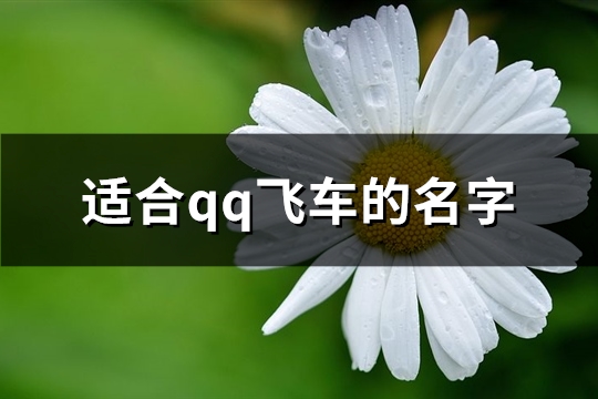 适合qq飞车的名字(精选627个) qq飞车有什么好听的名字