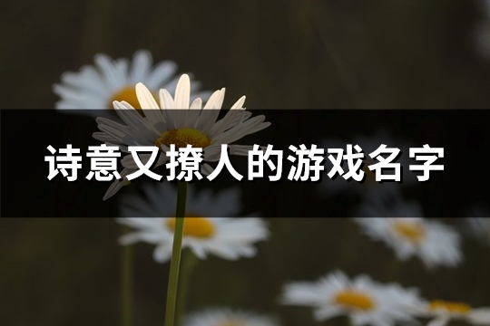 诗意又撩人的游戏名字(共537个) 诗意又撩人的游戏名字两个字