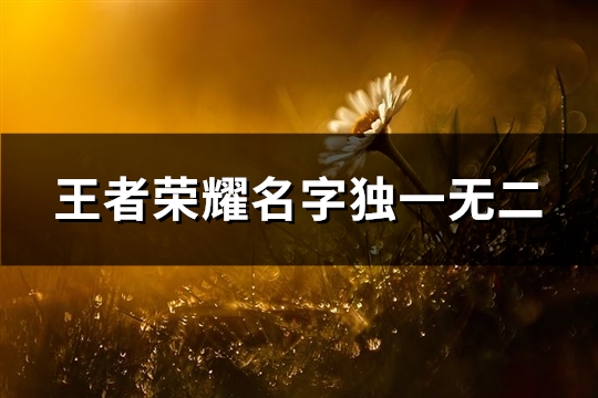 王者荣耀名字独一无二(共641个) 王者荣耀名字独特繁体字