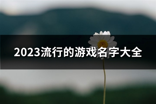 2023流行的游戏名字大全(共1295个) 2023流行游戏机小孩