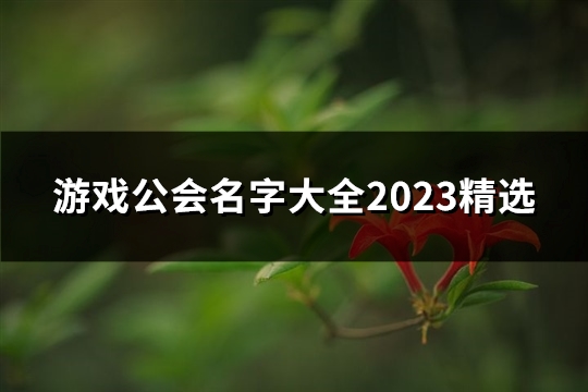 游戏公会名字大全2023精选(优选614个) 游戏公会名字大全最拉风