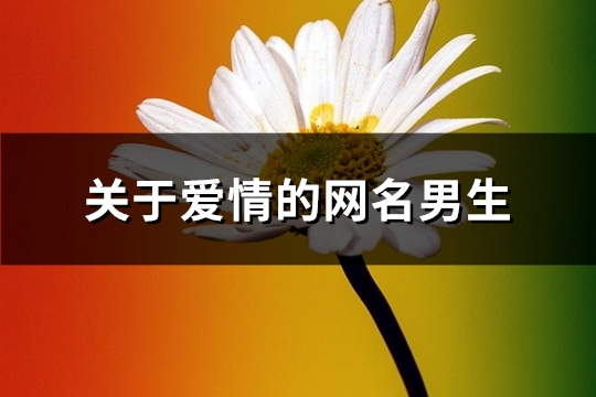 关于爱情的网名男生(95个) 关于爱情的网名女