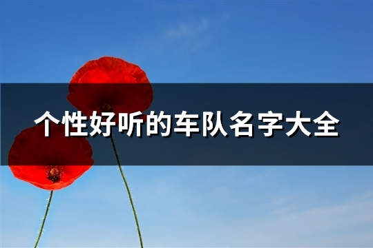 个性好听的车队名字大全(优选367个)(个性好听的车队名字大全)