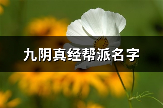 九阴真经帮派名字(优选267个)(九阴真经十大门派介绍)