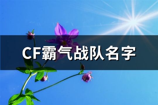 CF霸气战队名字(84个) CF霸气战队名字193个