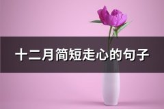 十二月简短走心的句子