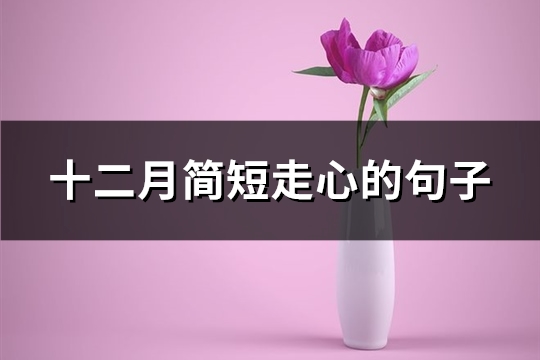 十二月简短走心的句子