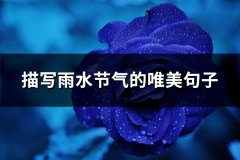 描写雨水节气的唯美句子